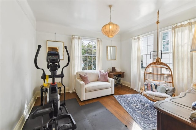 exercise area with dark hardwood / wood-style flooring