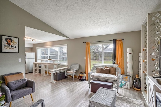 sitting room with vaulted ceiling, a textured ceiling, and light wood-type flooring