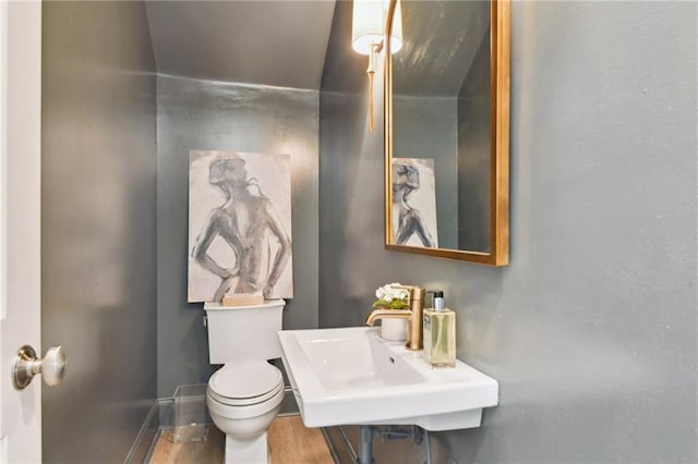 bathroom with wood-type flooring, sink, and toilet