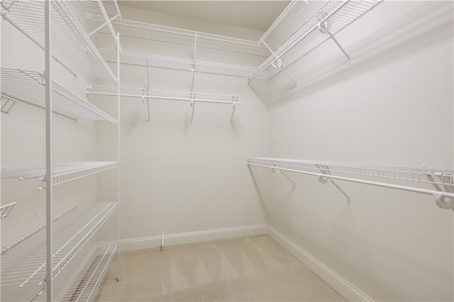 spacious closet with carpet flooring