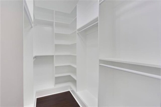 spacious closet with hardwood / wood-style flooring