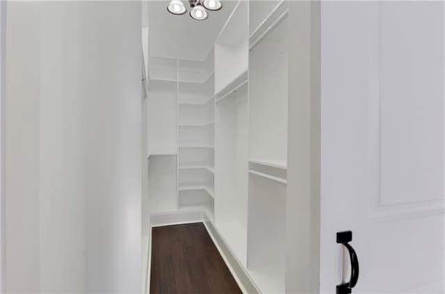 walk in closet featuring hardwood / wood-style floors