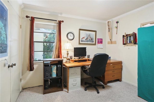 carpeted home office with crown molding