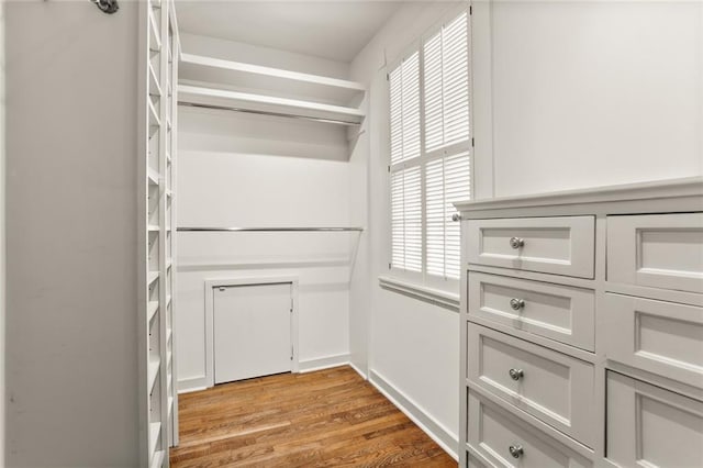 spacious closet with hardwood / wood-style flooring