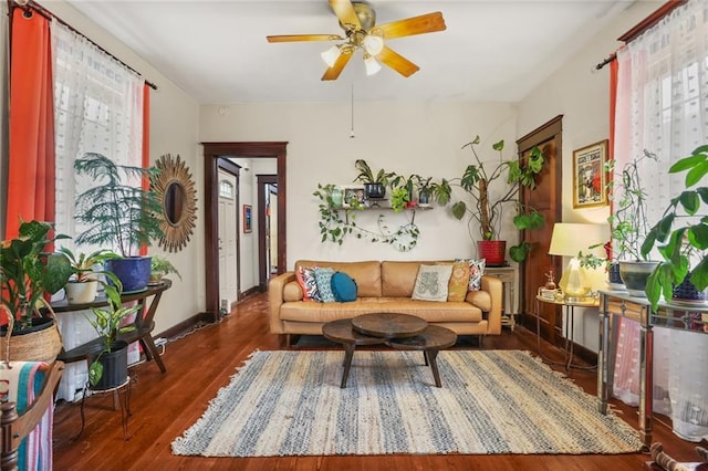 living area featuring ceiling fan and dark hardwood / wood-style floors