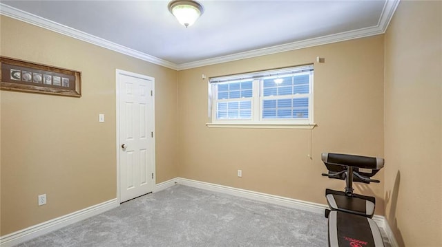 unfurnished room with ornamental molding and light colored carpet