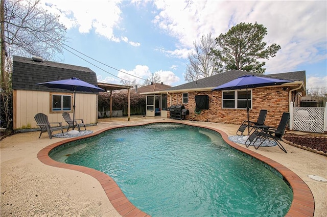 view of swimming pool with a grill and a patio area