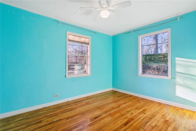 spare room featuring ceiling fan, a wealth of natural light, and light wood-type flooring