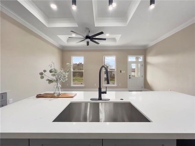 details featuring ornamental molding, sink, and ceiling fan