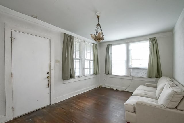 sitting room featuring dark wood-type flooring