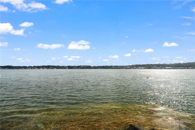 14034 S Lakeshore Dr, Covington, LA 70435 - photo 38