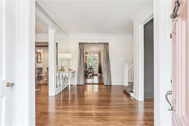 corridor with crown molding and dark hardwood / wood-style floors