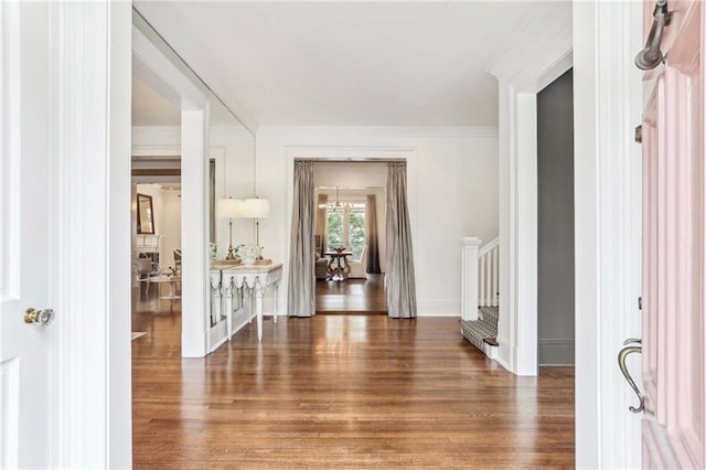 hallway featuring crown molding and dark hardwood / wood-style floors