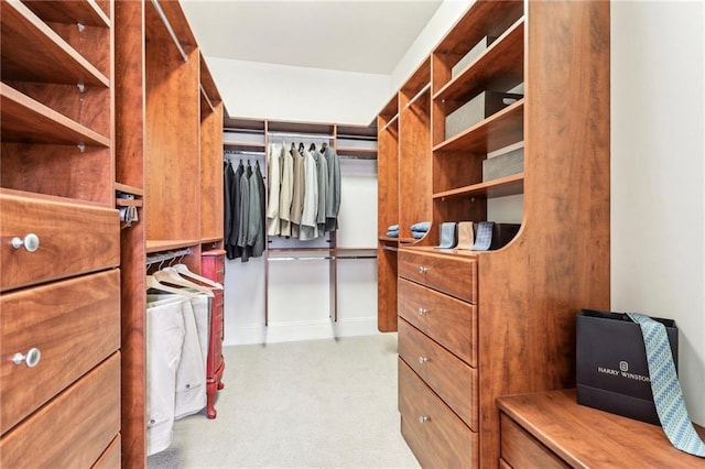 view of walk in closet