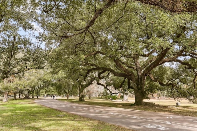 surrounding community with a lawn