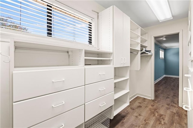 walk in closet featuring wood finished floors