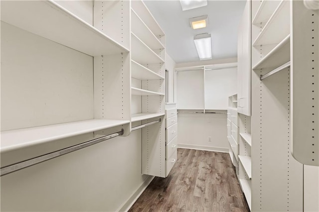 spacious closet featuring dark wood-style flooring