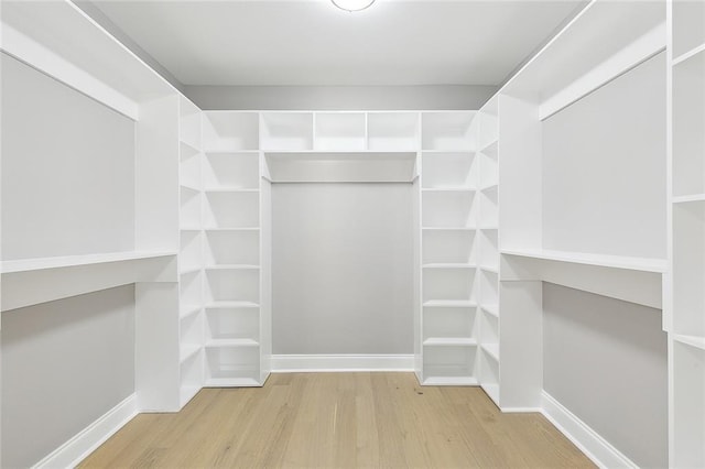 walk in closet with light wood-type flooring