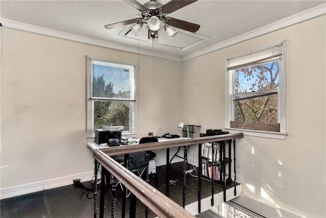 73032 Frenchmen St, New Orleans, LA 70116 - photo 41