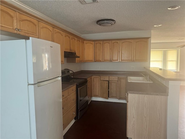 kitchen with sink, stainless steel range with electric stovetop, white refrigerator, a textured ceiling, and light brown cabinets