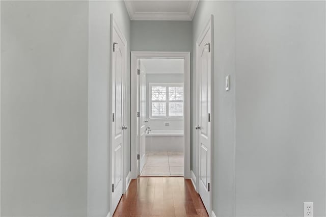 hallway featuring hardwood / wood-style flooring and crown molding