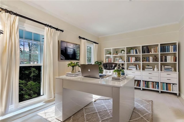 office with ornamental molding, a wealth of natural light, and light carpet