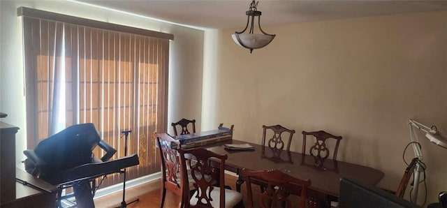 dining room with hardwood / wood-style floors