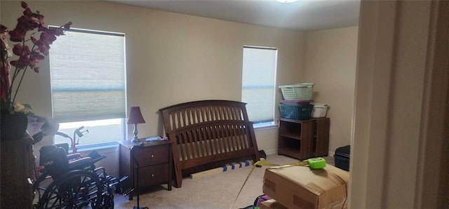 bedroom featuring multiple windows