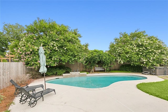 view of pool with a patio area and a jacuzzi