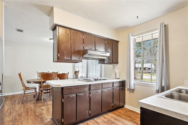 kitchen featuring kitchen peninsula, a textured ceiling, dark brown cabinets, and light wood-type flooring