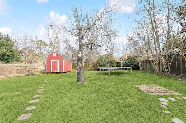 view of yard with a storage shed and a trampoline