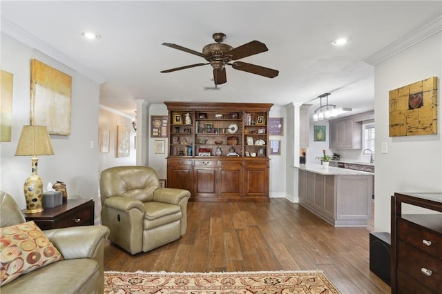 living room with decorative columns, crown molding, and dark hardwood / wood-style flooring