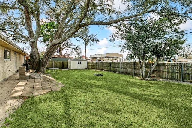 view of yard with a patio area, central air condition unit, and a storage unit