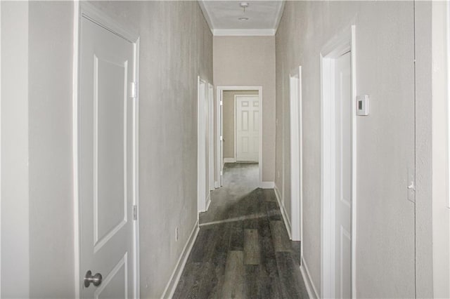 3533 S Liberty St, New Orleans, LA 70115 - photo 18