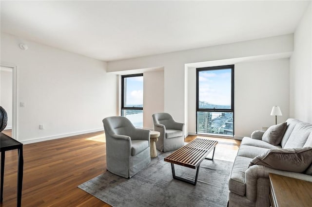 living room featuring hardwood / wood-style floors