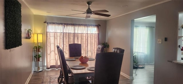 dining area with crown molding, ceiling fan, and dark wood-type flooring