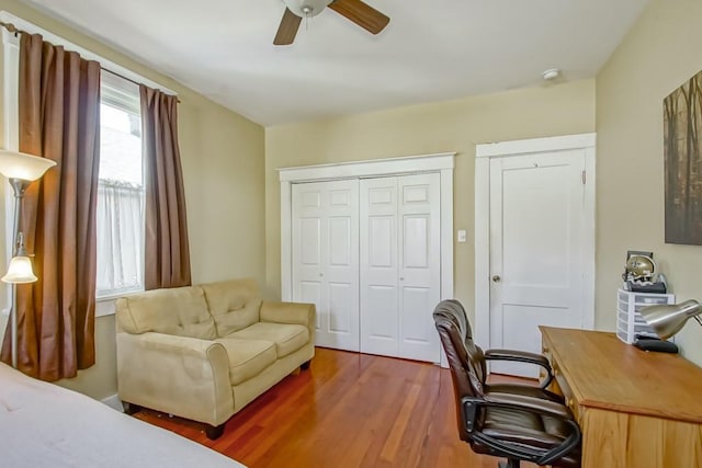 office space with ceiling fan and dark hardwood / wood-style flooring