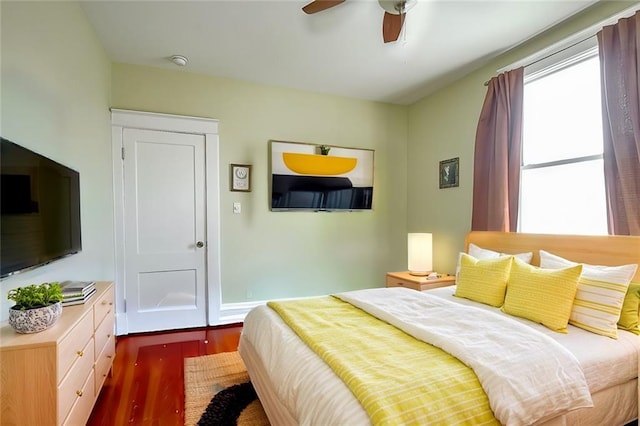 bedroom featuring ceiling fan and dark hardwood / wood-style flooring