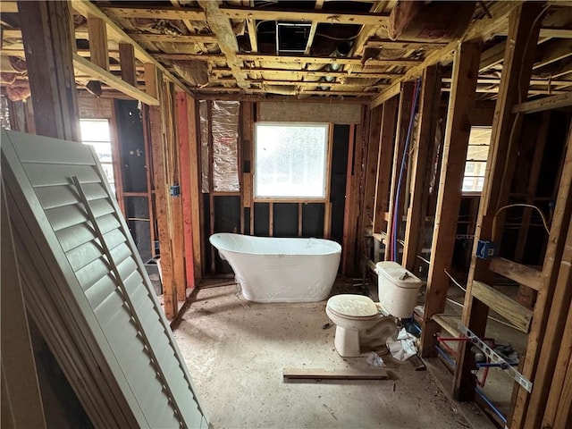 full bathroom with a freestanding bath and toilet