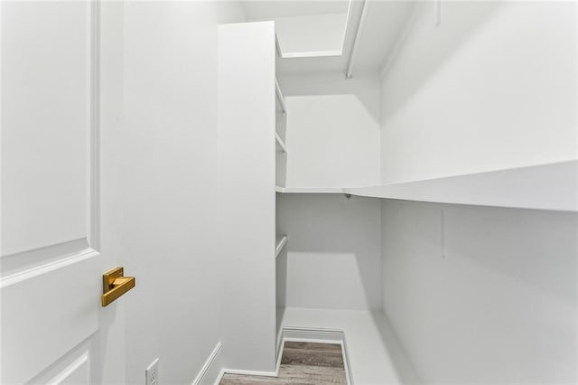 walk in closet with hardwood / wood-style flooring