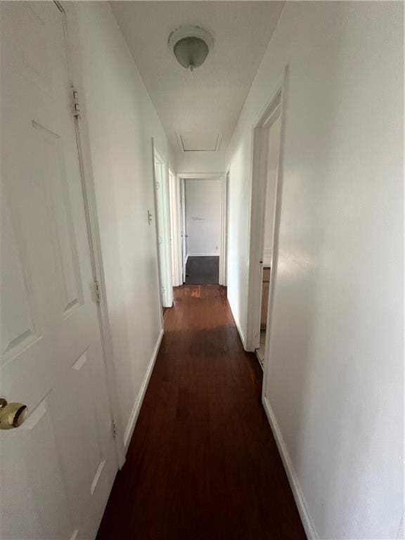 corridor featuring dark wood-type flooring