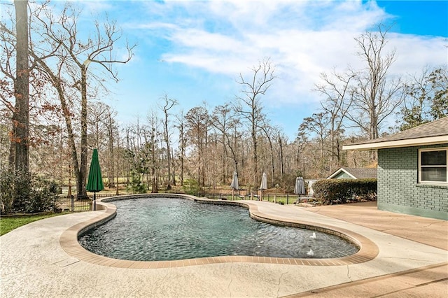 view of pool featuring a patio