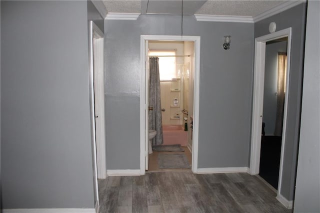 hallway with ornamental molding, dark hardwood / wood-style flooring, and a textured ceiling