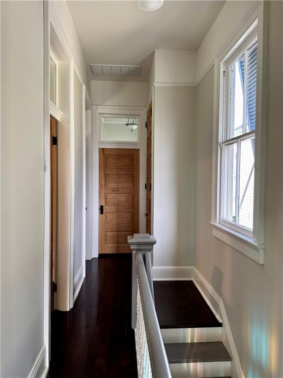 hall with visible vents, plenty of natural light, baseboards, and dark wood-style flooring