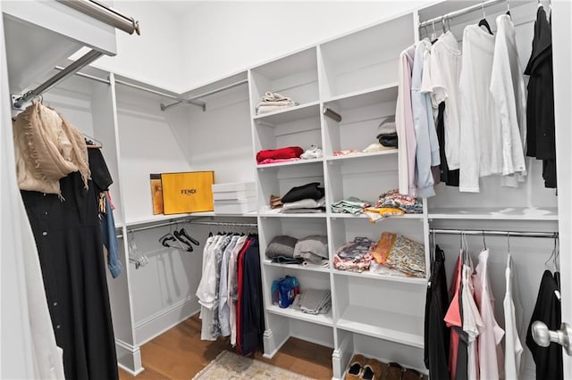 walk in closet featuring hardwood / wood-style flooring