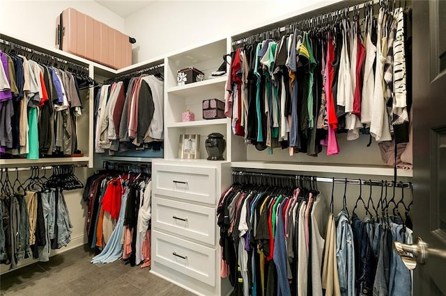 view of spacious closet