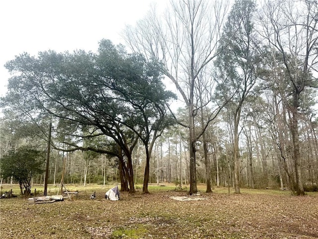 900 Dove Park Rd, Covington, LA 70433