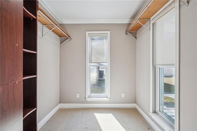 spacious closet with carpet floors