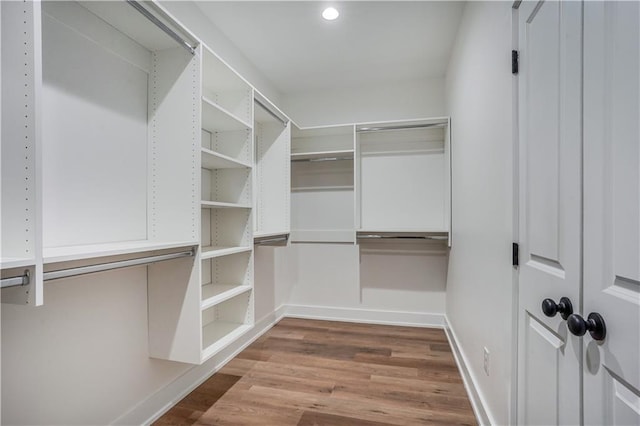 spacious closet featuring wood-type flooring