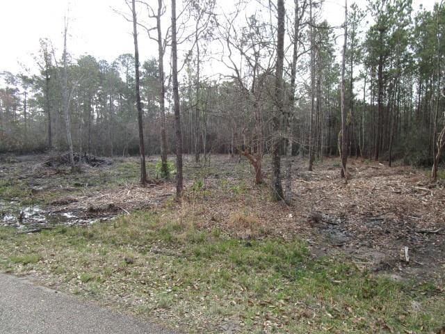 Rhonda Rd, Pearl River LA, 70452 land for sale